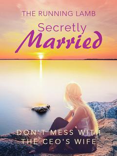 Secretly Married: Don't Mess With The CEO's Wife