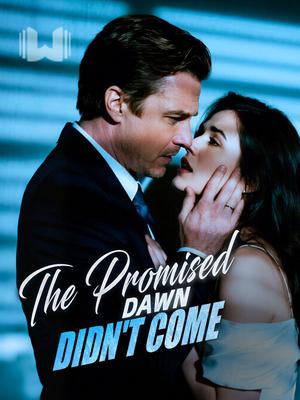 The Promised Dawn Didn't Come