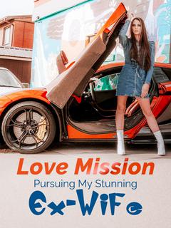 Love Mission: Pursuing My Stunning Ex-Wife