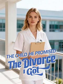 The Child He Promised, The Divorce I Got