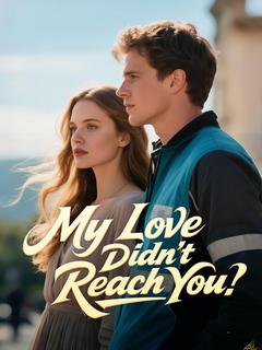 My Love Didn't Reach You