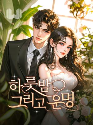 하룻밤, 그리고 운명