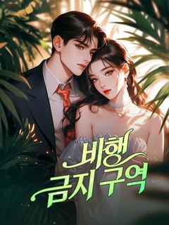 비행 금지 구역