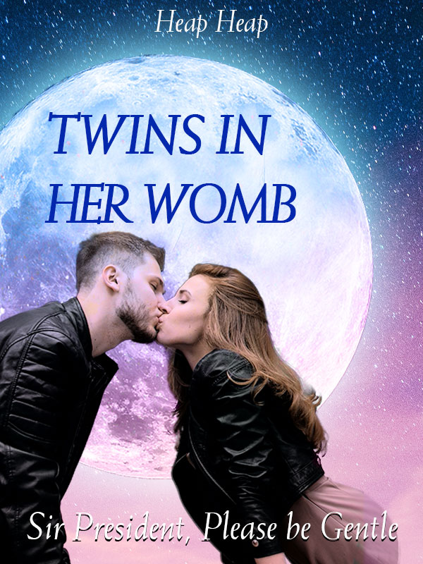 Twins in Her Womb: Sir President, Please be Gentle