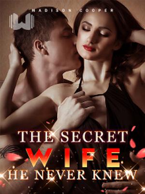The Secret Wife He Never Knew
