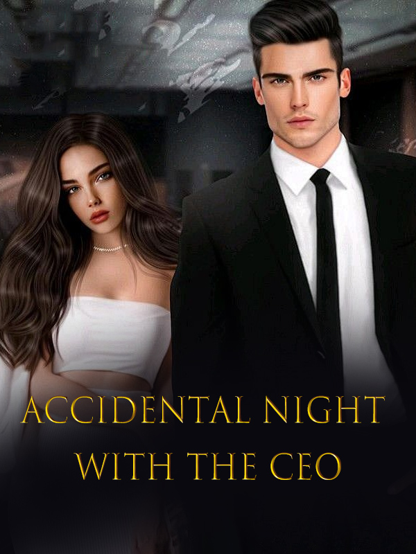 Accidental Night with the CEO