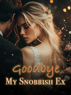 Goodbye, My Snobbish Ex
