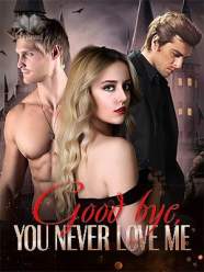 Good bye, You Never Love Me