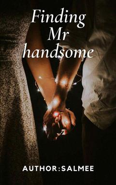 Finding Mr.handsome