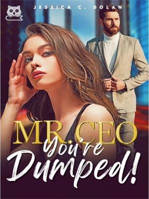 Mr CEO, You're Dumped