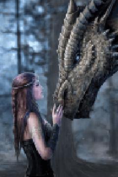 Captured by the Dragon