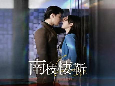 南枝棲靳 線上看