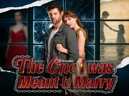 The One I was Meant to Marry Full Movie Watch Online｜When Love Arrives at Rock Bottom