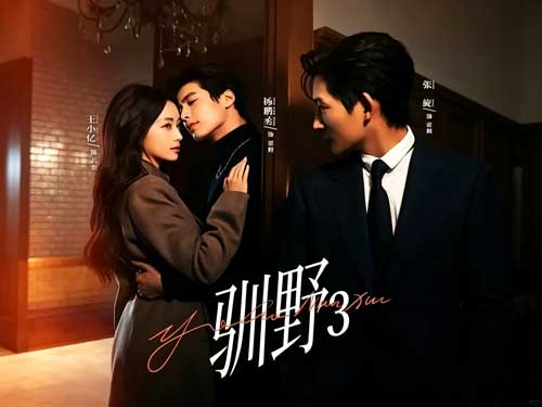 她快結婚了，他卻把她拖進深淵......【馴野3】短劇線上看：這場愛，不是選擇題，是毀滅題