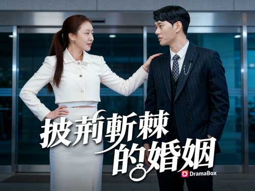 披荊斬棘的婚姻線上看主演介紹｜讓情緒成立的關鍵臉孔