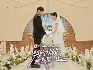 契約結婚：總裁娶一送二免費全集