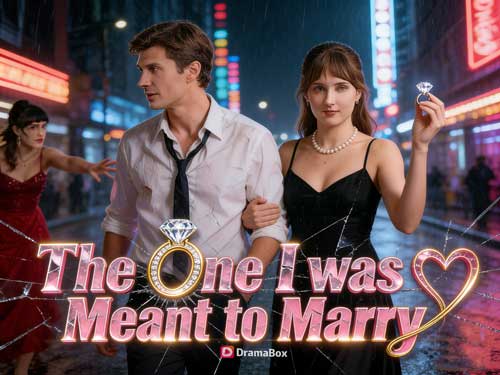 The One I Was Meant to Marry Cast