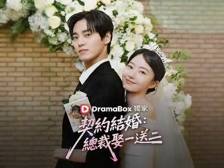 契約結婚：總裁娶一送二全集