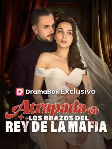 Atrapada en los brazos del rey de la mafia Ver Gratis