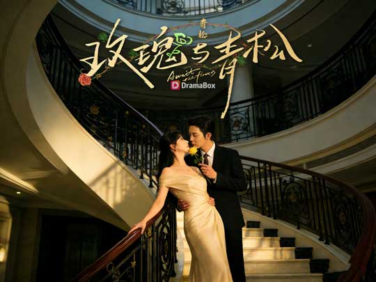 青松折枝贈玫瑰線上看主演角色介紹｜誰撐起了這場愛情與智慧交織的短劇