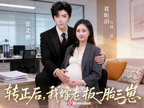 轉正上了，老闆的崽也懷上了線上看主演介紹｜把角色的生命力演活