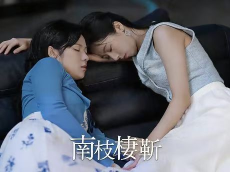 南枝棲靳 線上看