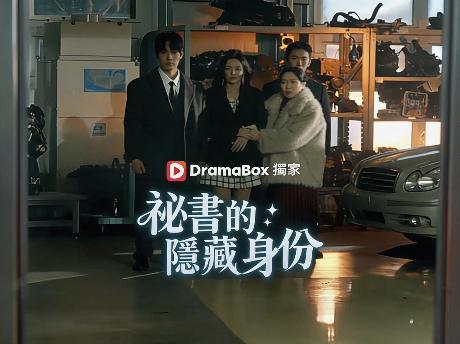 祕書的隱藏身份線上看