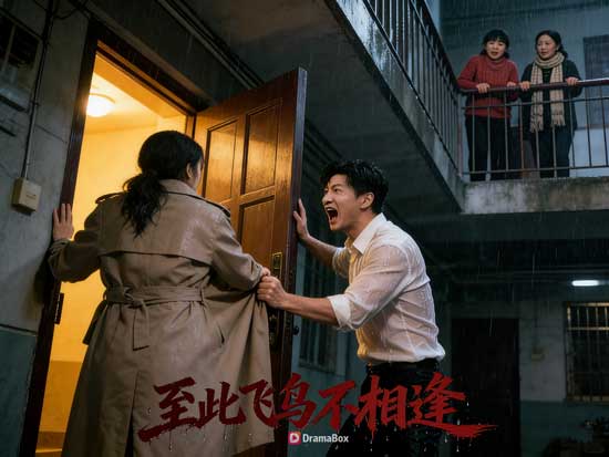 🌧️飛鳥各投林線上看短劇： 飞鸟不是不相逢，而是再相逢已无处可停