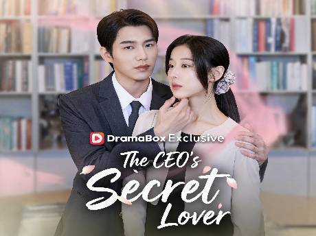 The CEO's Secret Lover Chinese Drama