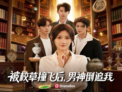 被校草撞出頂級桃花運線上看：一場意外相撞，竟撞出人生最狂逆襲