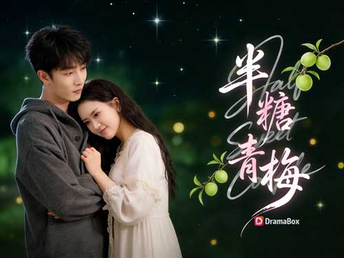 《破鏡裏的青梅糖》線上看主演介紹|角色靈魂撐起整部劇 《破鏡裏的青梅糖》線上看主演介紹|角色靈魂撐起整部劇