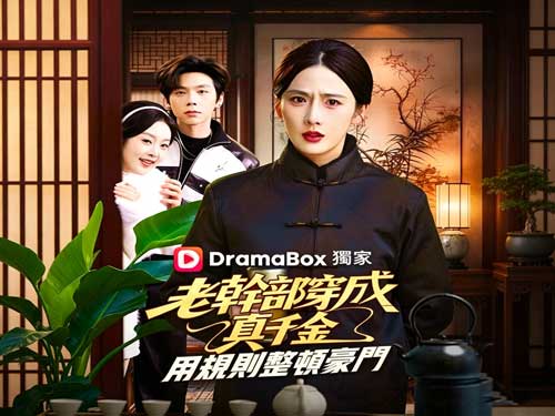 老幹部穿成真千金：用規則整頓豪門線上看 | 當KPI遇上親情修羅場？
