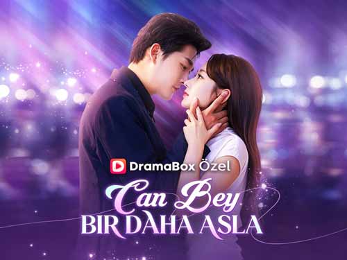 Ngài Lục Nửa Đời Sau Không Gặp Lại Xem Phim Miễn Phí - DramaBox