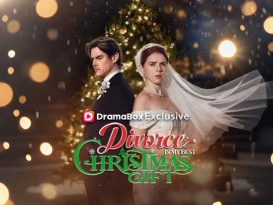 5️⃣ Divorce Is My Best Christmas Gift – Romantic Drama / Comedy / Holiday