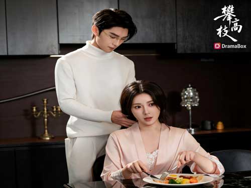 《蓄意攀附》（別名《攀高枝》）先婚後愛：枷鎖中的柔情暗流