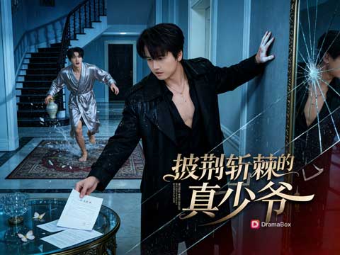 《披荊斬棘的真少爺》——底層少年逆襲豪門，步步為營嗨翻全場！