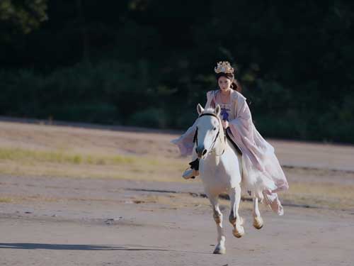 🏹💃【新婚夜，九公主殺瘋了】線上看一夜封喉，血色鳳冠......當新婚夜變成奪命局，她選擇反殺全場！