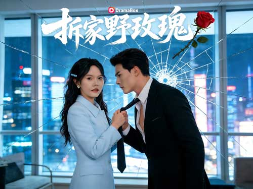 野玫瑰契約：謝總請按劇本演線上看主演介紹｜角色魅力支撐全劇