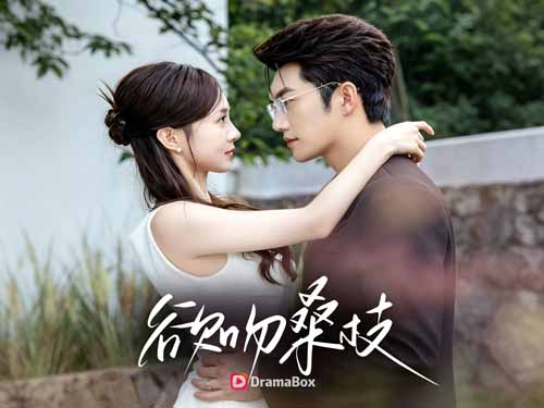 【欲折桑枝】線上看先婚後愛短劇全集 - DramaBox