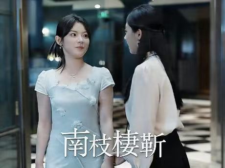  南枝棲靳 線上看