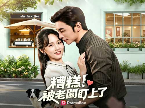 糟糕！被老闆盯上了線上看一場褲子掉落引發的婚姻 - DramaBox