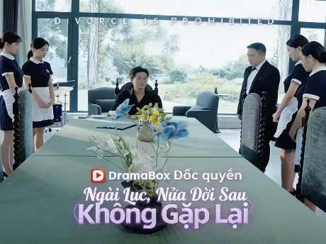 Ngài Lục, Nửa Đời Sau Không Gặp Lại Phim