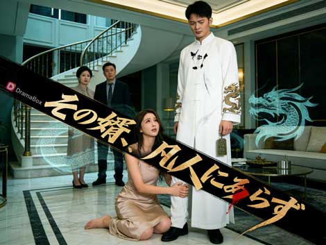 その婿、凡人にあらずネタバレ🍃愛と葛藤の繊細な描写