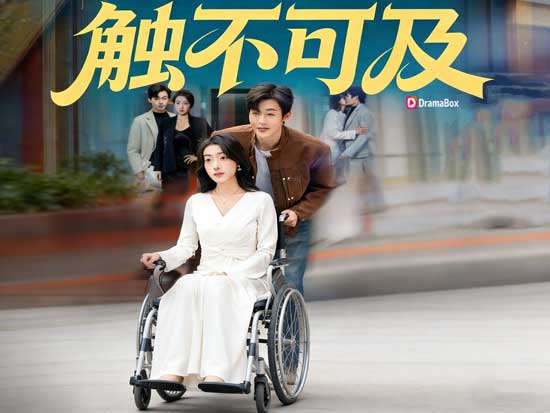 《輪椅上的華爾茲》線上看短劇全集：當愛情不再站著說話