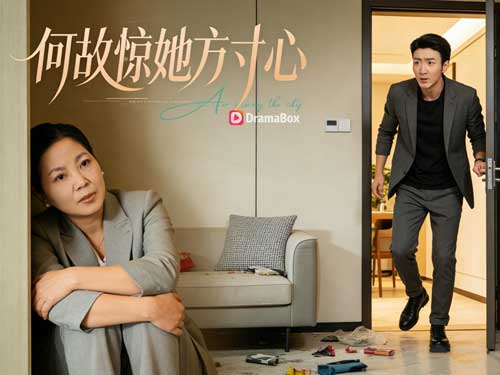 《誰驚慈母心》線上看全集：一場誤會撕裂豪門假面，精心偽裝背後的情感逆流與人性翻盤