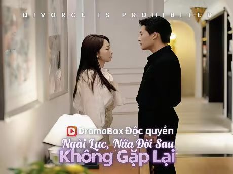 Ngài Lục, Nửa Đời Sau Không Gặp Lại Phim