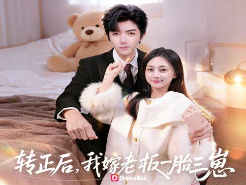 《轉正上了，老闆的崽也懷上了》線上看職場逆襲與意外邂逅：林溪的轉正之旅