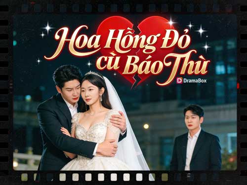 Hoa Hồng Đỏ Báo Thù Phim Vietsub Online Và Giới Thiệu Diễn Viên