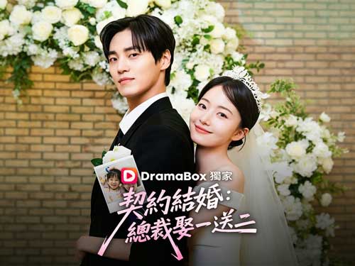 契約結婚：總裁娶一送二線上看DramaBox全集