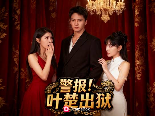 警報!葉楚出獄線上看 警報!葉楚出獄線上看